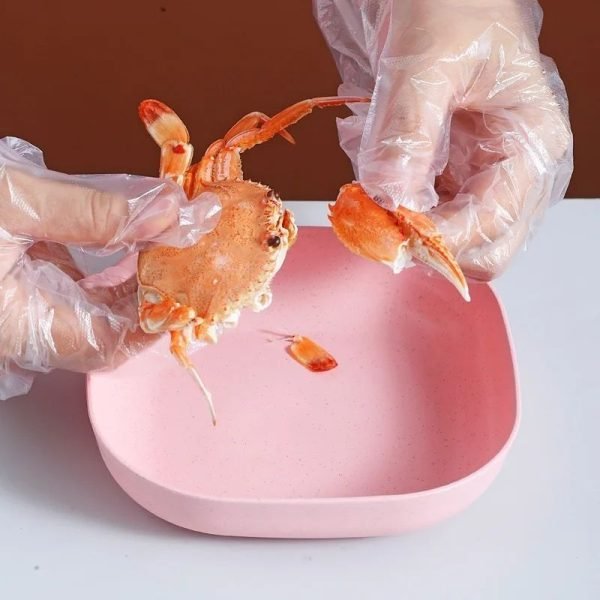 Food Grade Plastic Household Dining Plates | 10 pcs Elliptical Spit Bone Plate Set | Multi-Function & Durable - Image 4